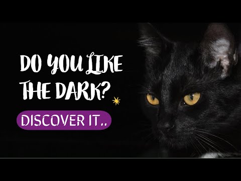 YouTube video about: Can cats be afraid of the dark?