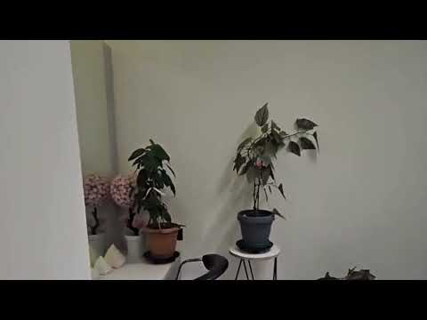 For Sale New building Flat In Batumi