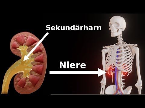 How urine is formed | Understand in 5 minutes | 3D animation