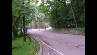 preview picture of video 'Beatriz de bicicleta no Horto Florestal'