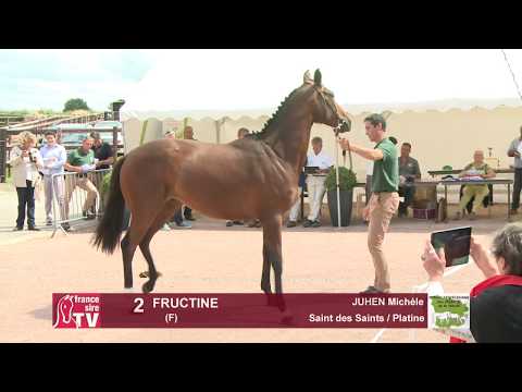 Concours Cercy 2017 - Lot 2 - Fructine