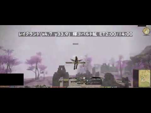 園芸 光るタイム