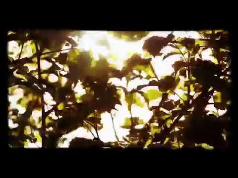 Starcruiser 8 - How did we get here?