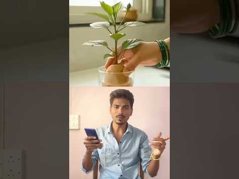 ఇంట్లోనే మొక్కలు పెంచే అద్భుతమైన ట్రిక్స్! 🌿😲 #shorts #telugu #viral