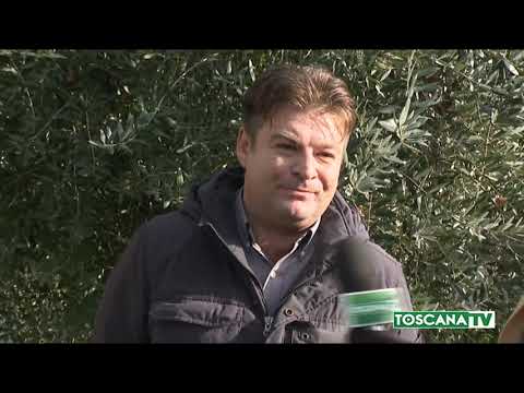 2019-12-27 FIRENZE - EXPORT, +11,3% DA FIRENZE VERSO GERMANIA