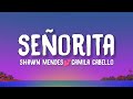 Shawn Mendes & Camila Cabello - Señorita (Lyrics)