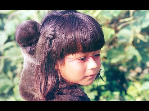 Tainá - uma aventura na amazônia - TRAILER