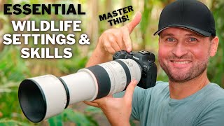 GO-TO SETTINGS For Bird & Wildlife PHOTOGRAPHY | Have YOU Mastered The MOST IMPORTANT SKILL?