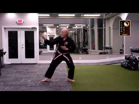 Pinan 1 – Shihan Rod Lindgren