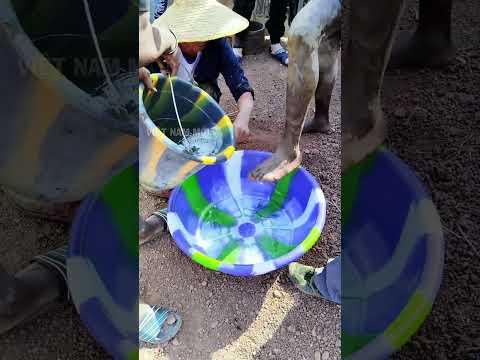 Quy trình an ninh gắt gao ở mỏ vàng