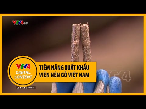 Tiềm năng xuất khẩu viên nén gỗ Việt Nam | VTV4