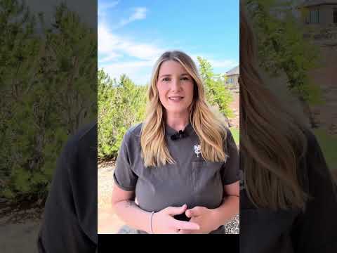 Crawlspace Encapsulation & Deck Restoration | Behind the Build with Madole Construction