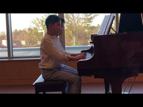 Aiya Nation - Palomino Gallop | Bober | Twins duet piano - Perfect ending!