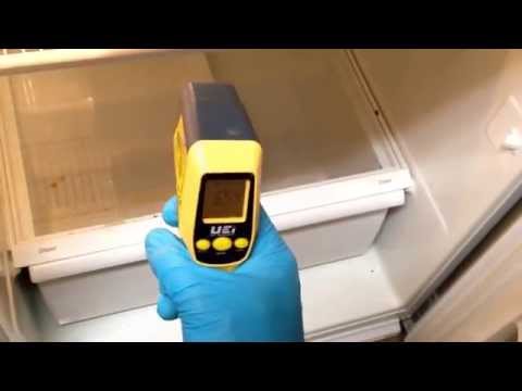 Fridge is Warm but Freezer is Cold? DIY Repair