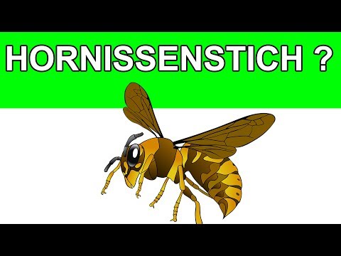 Warum Knistern Gelenke bei Kindern 8 Jahre Ist es möglich, das Bad mit Arthrose des Schultergelenks gehen