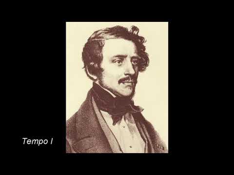 Adina, credimi - Gaetano Donizetti (L'elisir d'amore) - piano accompaniment
