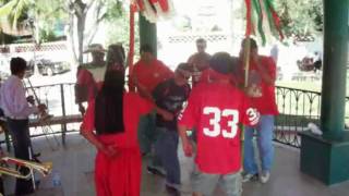 preview picture of video 'Fiestas Patrias de Almoloya, Guerrero 2010. Parte II'