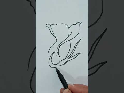 Beautiful and easy flower drawing