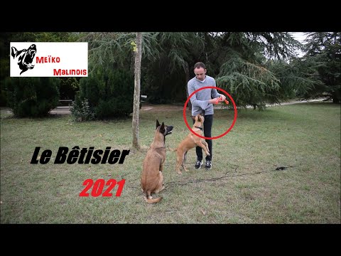 Bêtisier - Drôle de Jouet & Fous Rires