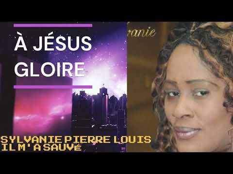 IL  M'A  SAUVÉ . SYLVANIE PIERRE LOUIS