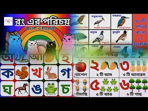 বাংলা বর্ণমালা, সংখ্যা গণনা, রং চেনা ও পাখির বাংলা-ইংরেজি নাম
