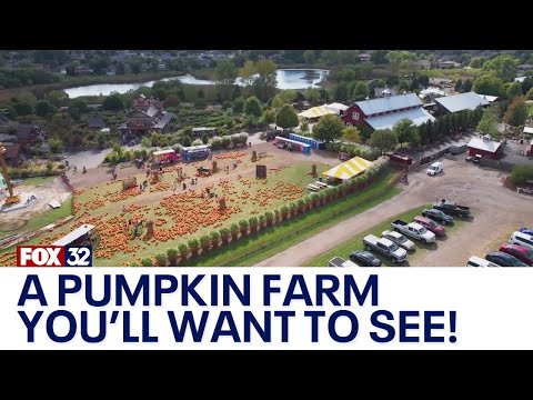 Homer Glen Pumpkin Patch