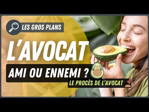 L'Avocat est-il vraiment bon pour votre santé ?