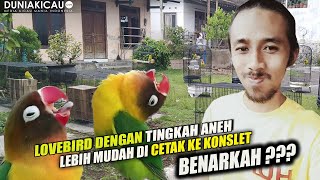 Download lagu LOVEBIRD BERTINGKAH ANEH LEBIH MUDAH KONSLET - BENARKAH ??? mp3