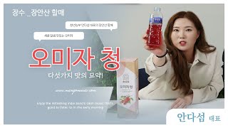 [라이브커머스 교육 실습 ] 청년CEO 안다섬 대표_오미자 청(장안산 할매)