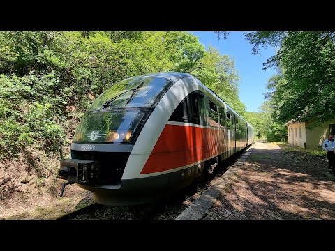 🏞Train Cab Ride Bulgaria🇧🇬: The slowest train in the world😵😱😱!! Gueshevo - Kyustendil