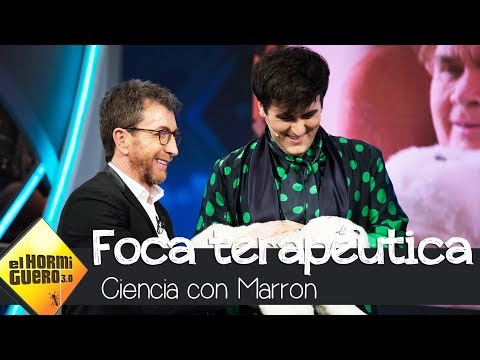 Marron llena de ternura con la foca NUKA, un robot terapéutico - El Hormiguero 3.0