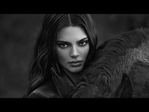 Sherman de Vries, Navaro, SHEREEN, DADEEP Better, Midnight CAR MUSIC MIX 2023 🔥