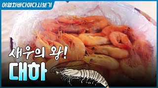 고소~하게 입맛 당기는 가을 제철음식! 새우는 역시 대하가 최고! #대하 #새우 #새우튀김 #바다 #새우요리…