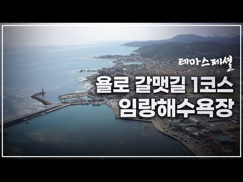 [테마스페셜] 욜로 갈맷길 1코스_임랑해수욕장