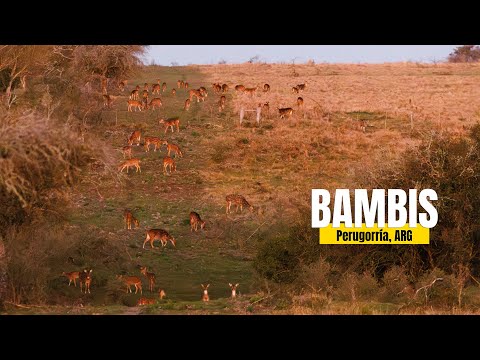 A temporada 25/26 promete! Estancia Nina