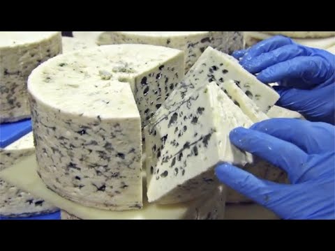 Jak powstaje ser Roquefort 🧀 | Tak powstaje ser z pleśnią