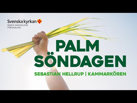 28 mars | Palmsöndagen | Gudstjänst i S:ta Maria Magdalena kyrka