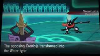 Pokemon XY Wifi Battle: No Pain, No Gain.