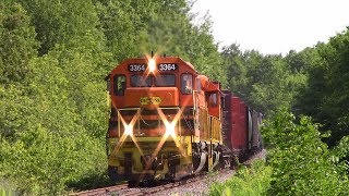 Swaying Freight Car! CBNS Train 305 at Eureka, NS