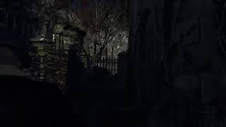 バイオハザードRe4ネコミミ取るまで辞めない