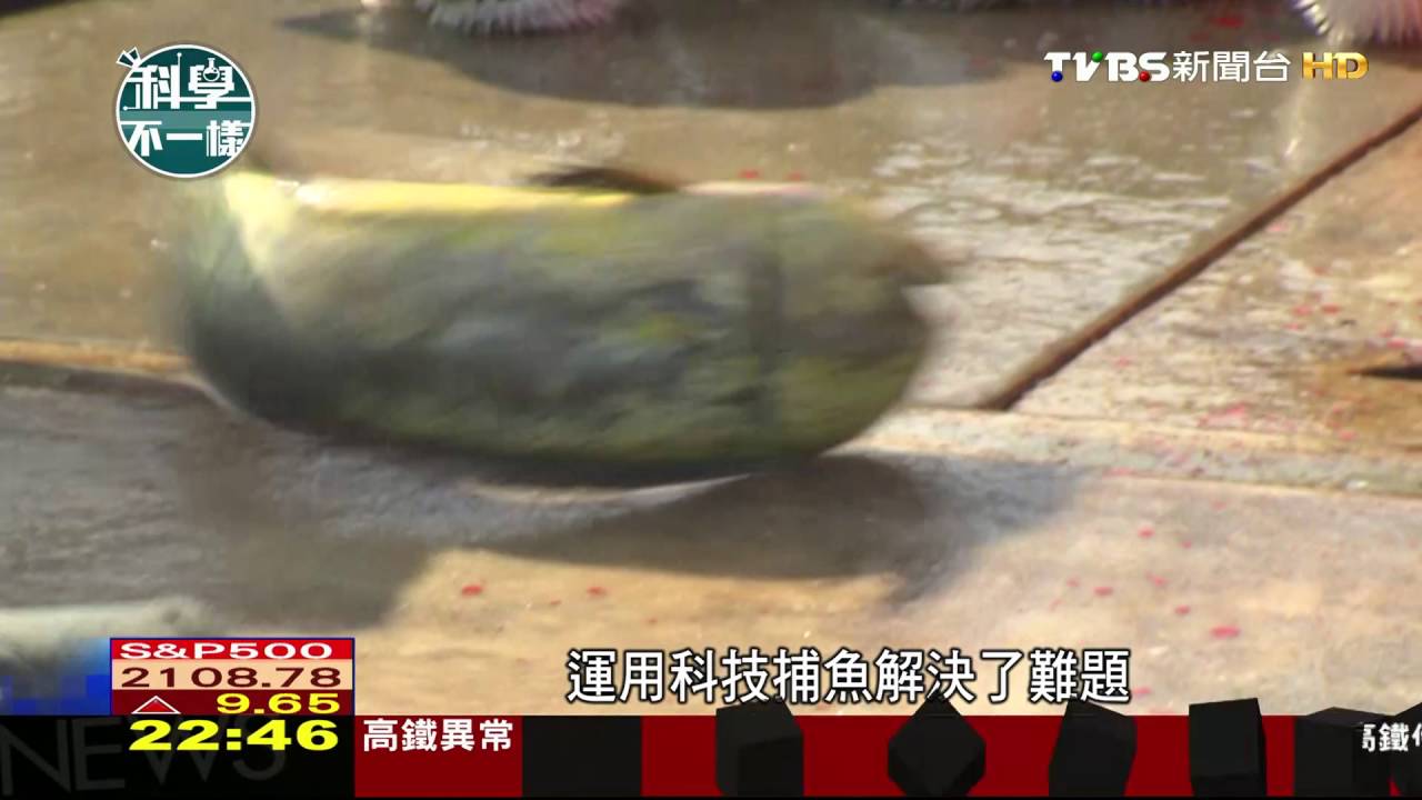 聲納科技探魚 聲波傳遞與反射原理