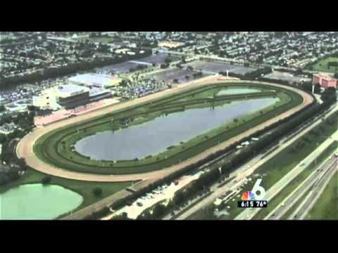 Jockey Sues Calder Race Course Over Accident | NBC 6 South Florida