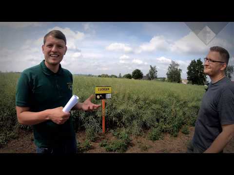 MFV-log #16 Feldtag Altenburger Land *RAPS*