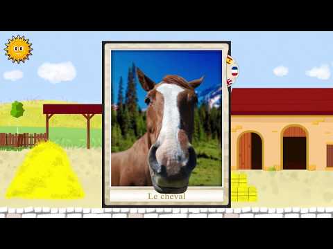 Wildlife & Farm Animals Video