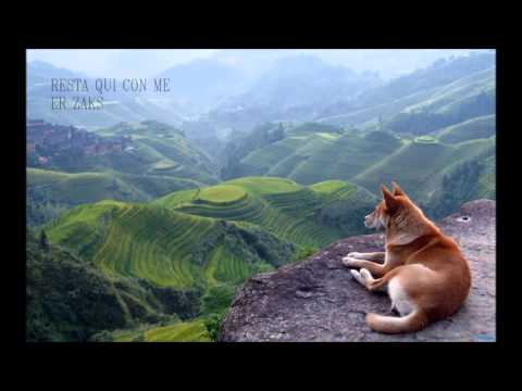Resta qui con me - Er Zaks