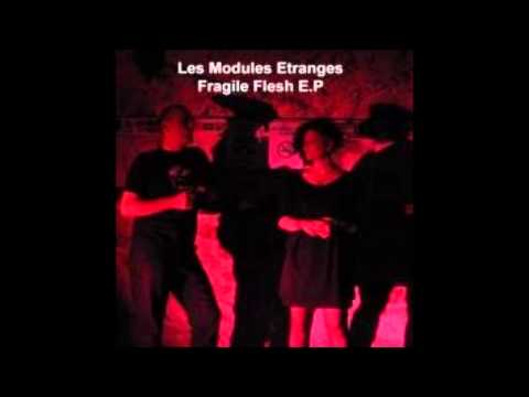Les Modules Etranges - Fragile Flesh (full album) 2007