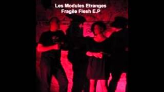 Les Modules Etranges - Fragile Flesh (full album) 2007