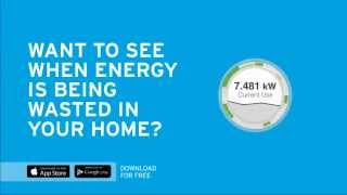 DTE Insight App and the Energy Bridge