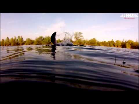 JENZI 2013 - Schonzeitende 1. Mai - Mit Phantom F, Nexxos, Mitsuki Kaitsu (fishing & Angelsport)