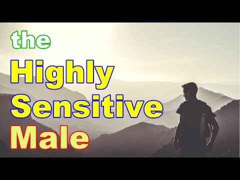 The Highly Sensitive Male
